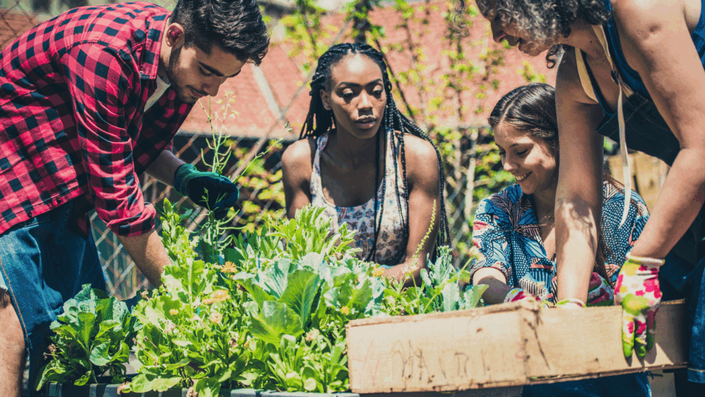 Un grupo diverso de personas colaborando en un huerto urbano, lo que representa el impacto positivo de invertir en startups y proyectos de impacto social. La escena muestra trabajo en equipo y crecimiento comunitario.